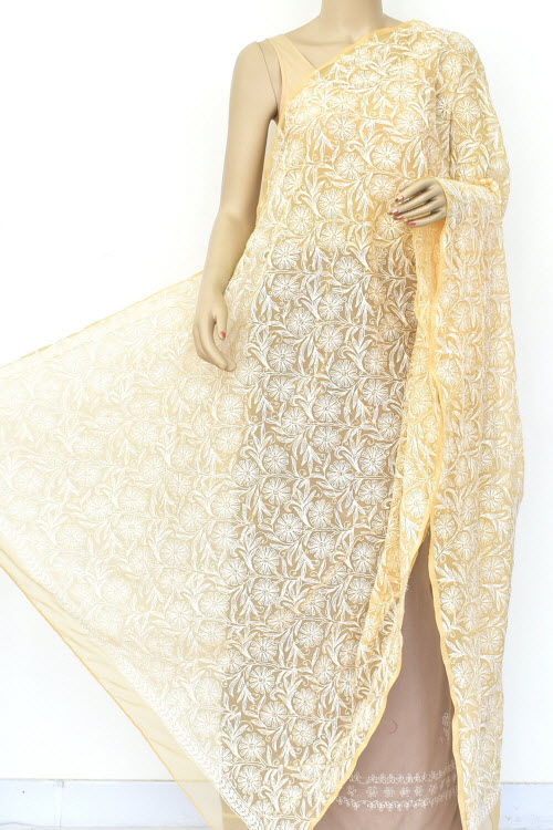 Beige Hand Embroidered Allover Tepchi Work Lucknowi Chikankari Dupatta (Faux Georgette) 18037